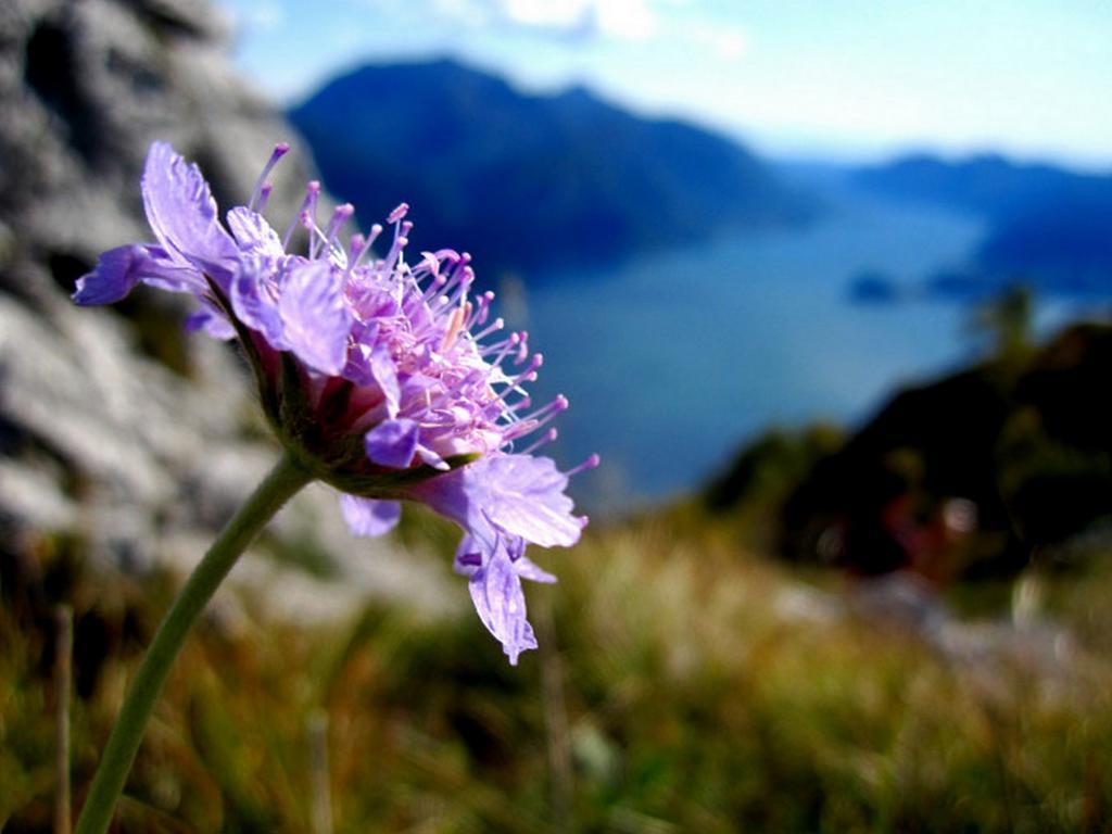 Menaggio Fronte Lago Bagian luar foto